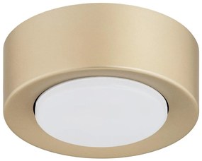 Argon 8903 - ELORA mennyezeti lámpa 1xGX53/7W/230V, átm. 11 cm, aranyszínű