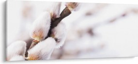 Kép - Macska (120x50 cm)