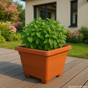Plastia Bergamot önöntöző virágtartó 30 x 30 cm világosbarna, 30 x 30 cm