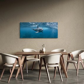 Kép - Delfin a felszín alatt (120x50 cm)