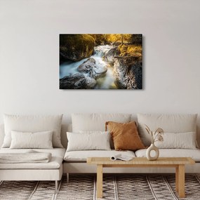 Kép - Erdei patak (90x60 cm)