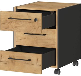 Antracitszürke-natúr színű szekrény tölgyfa dekorral 42x54x49 cm Podium – Germania