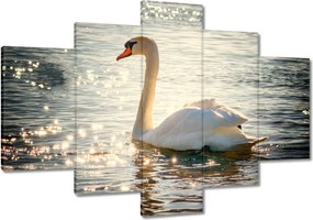 Vászonkép 120x80 Hattyú a tavon