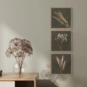 Kép szett 3 db-os 30x30 cm Pampas – Styler