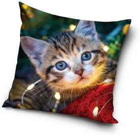 Cicás Cozy Lights párnahuzat 40x40 cm Velúr