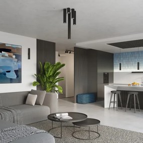 Sollux SL.1570 -Spotlámpa KARBON 1xGU10/10W/230V 30 cm fekete