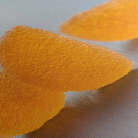 A mandarinok képe (90x60 cm)