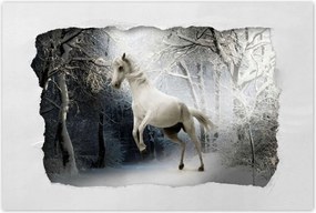 Poszterek 90x60 Fehér paripa