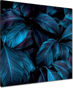 Vászonkép 90x90 Gyönyörű kék levelek