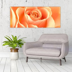 Kép - A Rózsák, barack színű (120x50 cm)