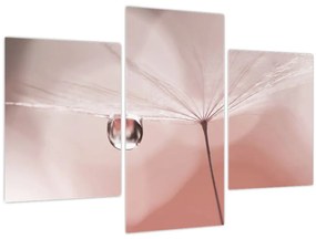Kép - Egy csepp harmat (90x60 cm)