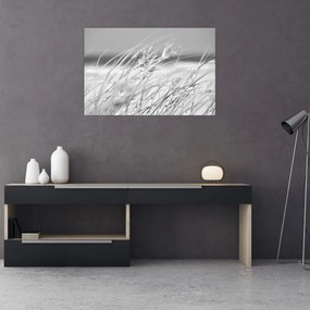 Kép - Strandfű (90x60 cm)