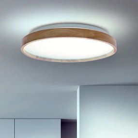 Brilagi - LED dimmelhető mennyezeti lámpatest ALSON LED/48W/230V 3000-6500K + távirányító