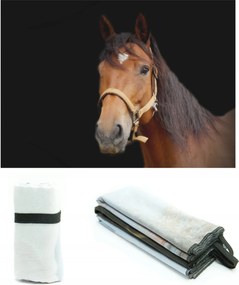 Mikroszálas Törölköző Lóval Ajándék 50x70