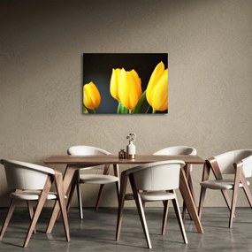 Tulipán képe (70x50 cm)