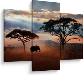 Kép - Serengeti Nemzeti Park, Tanzánia, Afrika (90x60 cm)