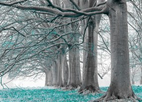 Poszter 70x50cm Fák egy sorban türkiz levelek, Assaf Frank