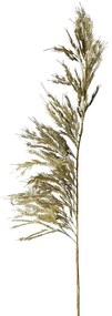 Pampas műnövény