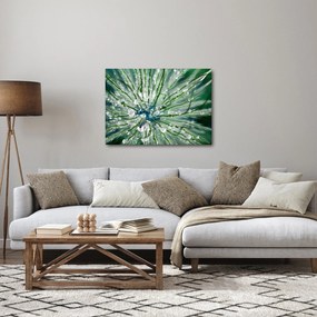 Kép - Makro kép egy virágról (70x50 cm)