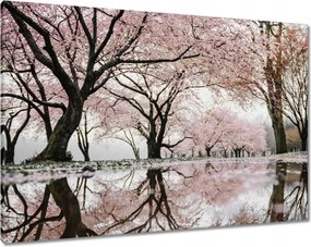 Vászonkép 100x70 Fa Fák Kilátás