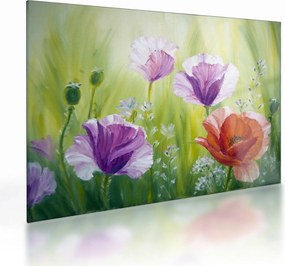 Kép - Pipacsok (üvegen) (70x50 cm)