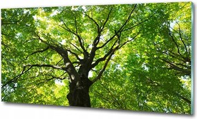 Fotó vászonkép edzett üveg Vadrózsa 100x70