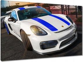 Képek 120x80 Porsche Vayman GT4