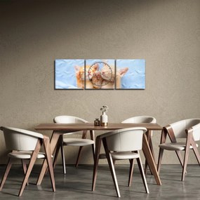 Kép - Alvó cicák (órával) (90x30 cm)