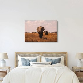 Kép - Az elefánt érkezése (90x60 cm)