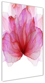 Akril üveg kép Rózsaszín virág oav-98648030