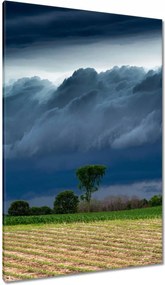 Vászonkép 80x120 Kukoricamező Fák