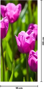 Fotótapéta ajtóra - Tulipánok a réten (95x205cm)