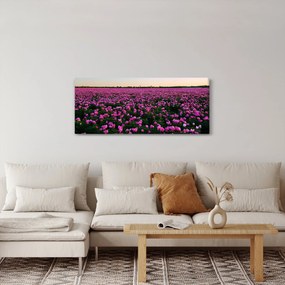 Kép - lila tulipánok rétje (120x50 cm)