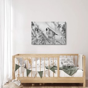 Kép - Egy madár télen (90x60 cm)
