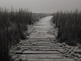 Poszter 40x30cm A csend ösvénye Dűnék