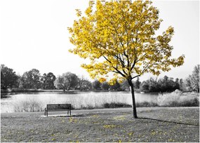 Kép - Pihenés a parkban (70x50 cm)