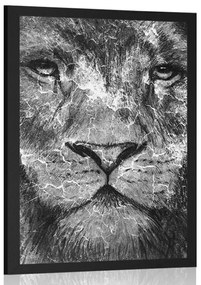 Poszter oroszlán arc fekete fehérben