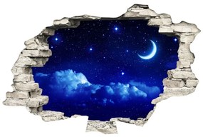 Moonlight falmatrica - Ambiance