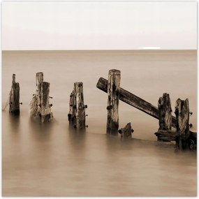 Poszterek 140x140 Hullámtörő fa