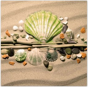 Poszterek 100x100 Lime kagyló Balti-tenger