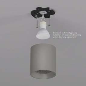 Rodvig series surface mounted ceiling downlight — DK/EU-3090-CT
