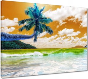 Vászonkép 50x40 Trópusok Tájkép Pálma