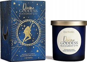 Carnatia Starry Spell szójagyertya üvegben Fekete ribizli és füge