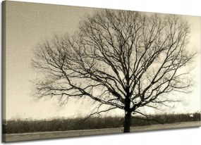 Vászonkép Sötét fekete fa Szomorúság 120x70 cm Ideális ajándék