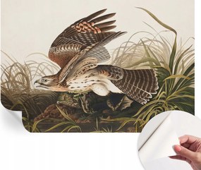 Öntapadós tapéta Falfestmény Prémium Szárnyas szépség 152x104 cm