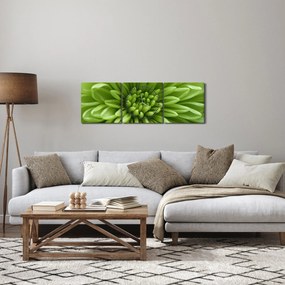 Kép - Makro kép egy növényről (órával) (90x30 cm)