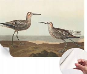 Modern öntapadós fotótapéta falra Madár sziluettek 104x70 cm