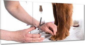 Képek 180x90 Kutyaszőr fogmosás