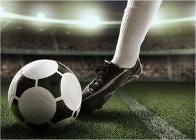 Üveg kép - Futball labda (70x50 cm)