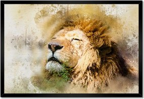 Poszterek keretben 60x40 Oroszlán